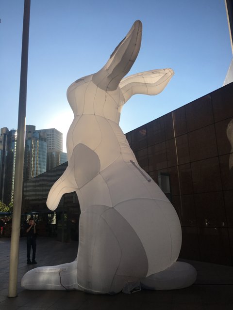 Bouncing Bunny in the Metropolis