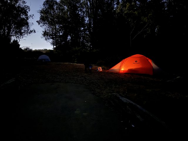 Illuminated Solitude: A Night Under the Presidio Skies