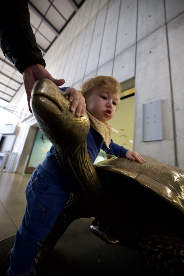 Young Child Discovers Bronze Goose Sculpture in Museum