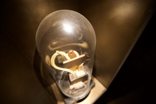 Close-Up View of Incandescent Light Bulb Filament