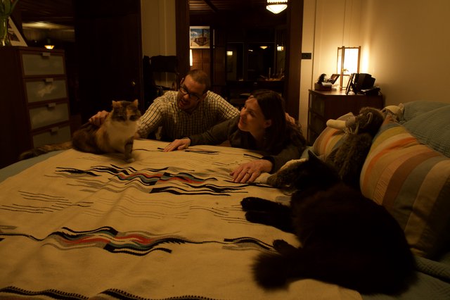 Couple and Cats Sharing a Cozy Evening at Home