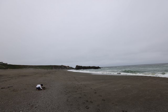 Child Explores Foggy Northern California Coastal Beach