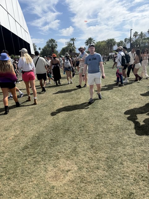 Strolling Through Sunshine and Sounds