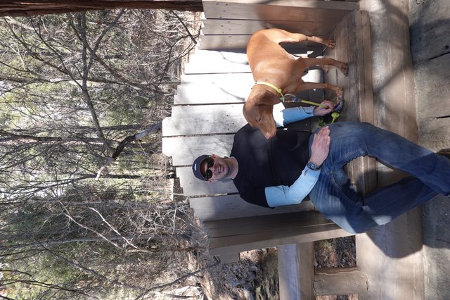 Man and Dog Relaxing on Wooden Bench