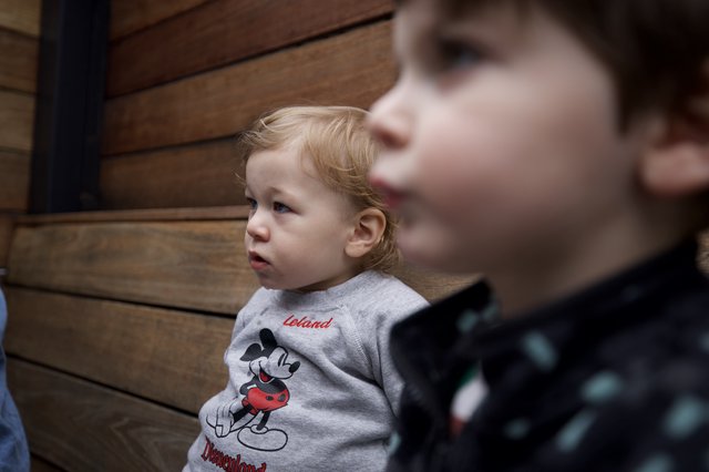 Young Children Watching Intently at an Event