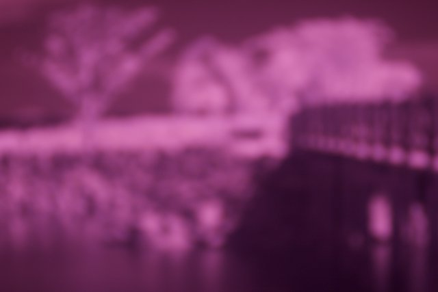 Purple Bridge and Trees