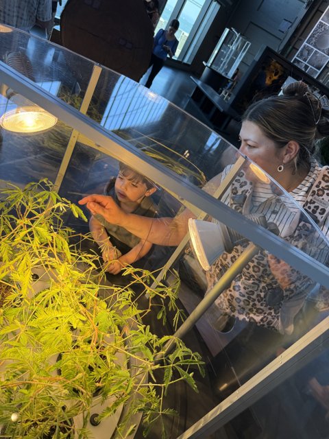 Curious Minds at Pier 15