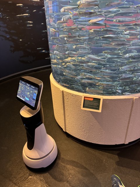 Digital Depths: Merging Technology with Aquatic Life