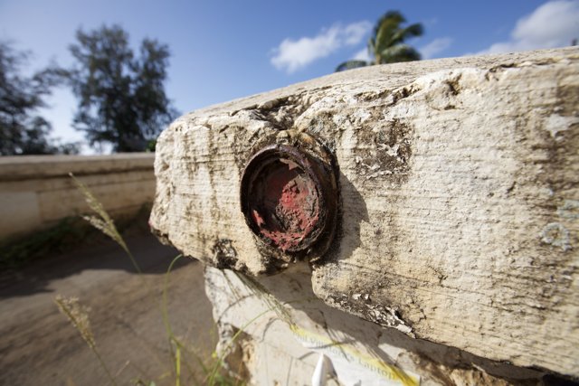 Red Button on Cement Wall in Hawaii