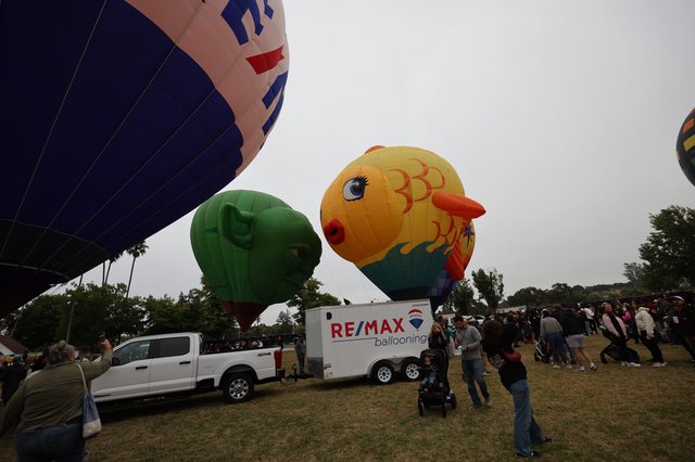 Colorful Hot Air Balloons Fill the Sky at Festival
