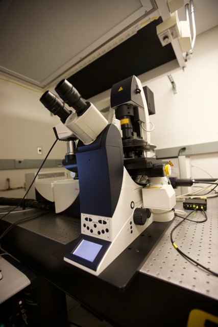 Advanced Microscopy in CNSI Laboratory