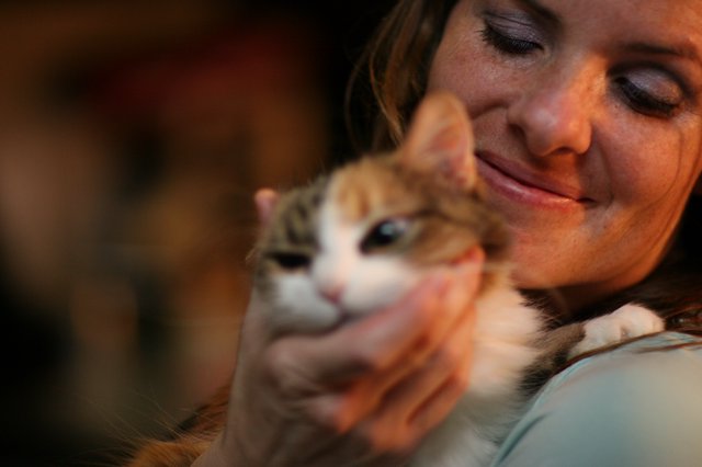 Tender Moment Between Woman and Calico Kitten