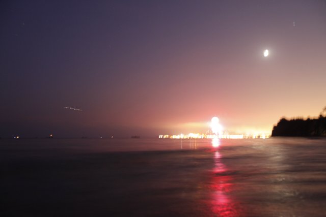 Moon and Flight by the Ocean