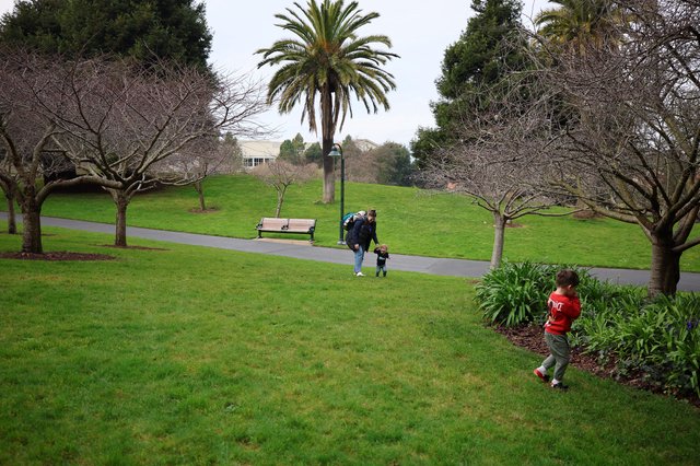 Family Park Outing on Overcast Winter Day
