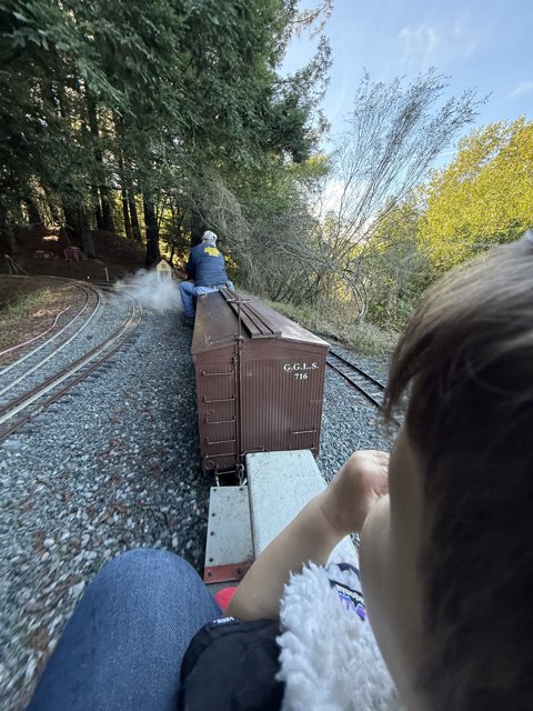 Whimsical Train Ride Through Nature