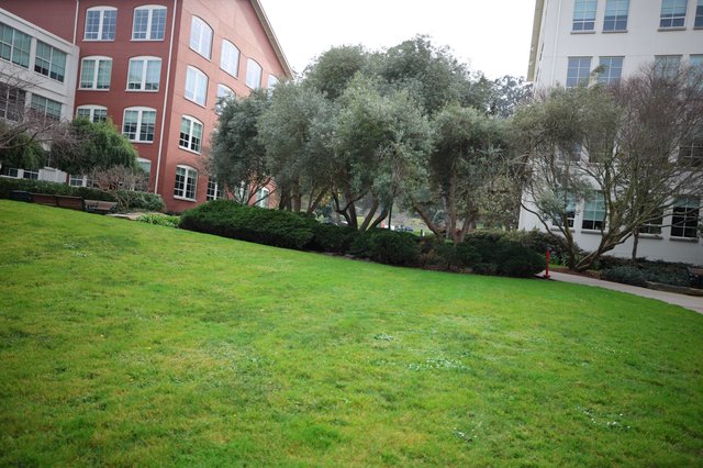 Corporate Campus Courtyard with Sloping Green Lawn