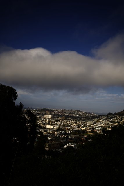 Breathtaking Hilltop View of San Francisco Cityscape