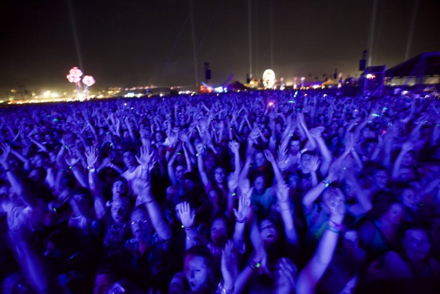 Lights and Cheers: A Coachella Crowd
