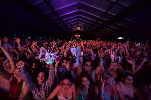 Coachella 2012 Crowd in Ecstasy