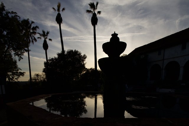 Palm Tree Fountain Silhouette