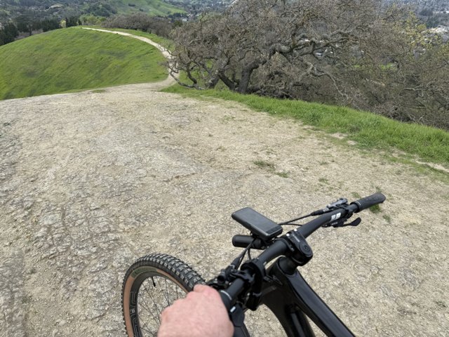 Exploring the Trails of Walnut Creek