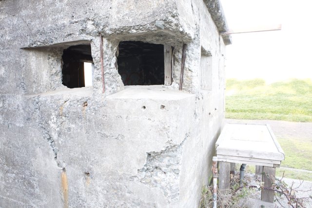 The Concrete Bunker