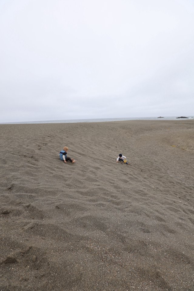 Two Children Playing on a Vast Grey Beach