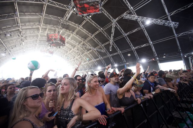 The Excitement of Music: A Vibrant Crowd at Coachella