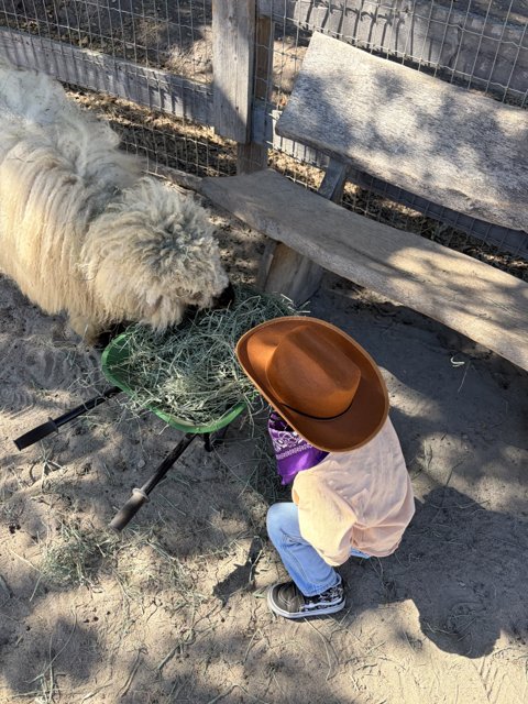 Little Cowboy's Sunny Adventure