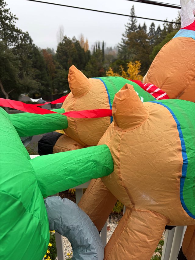 Inflatable Dinosaur Costumes Wrestling at Outdoor Event
