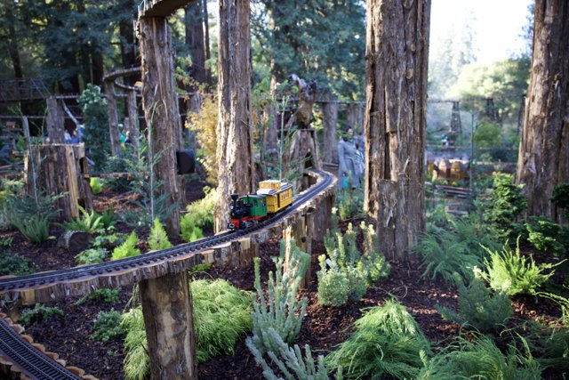 Woodland Railway Adventure