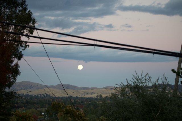 Moonlit Serenity Over Walnut Creek