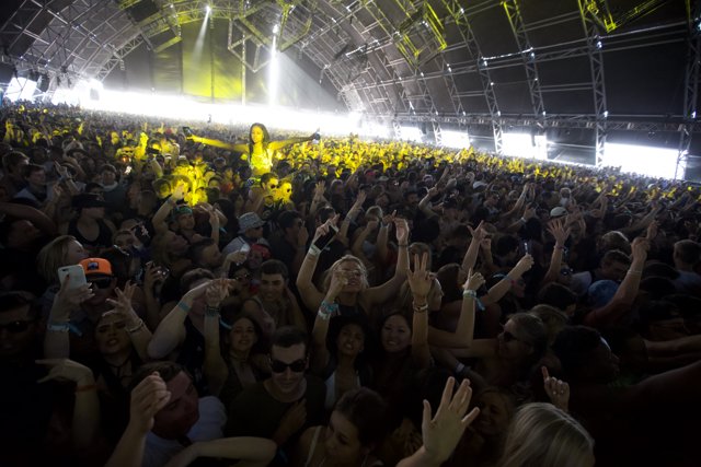 Crowd Goes Wild at Coachella 2016