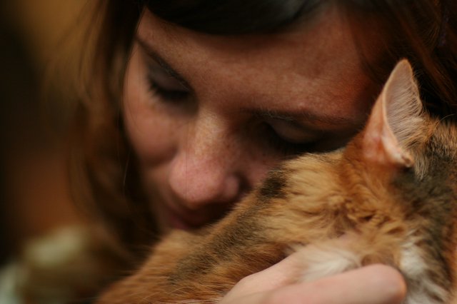 Tender Moment Between Woman and Ginger Cat