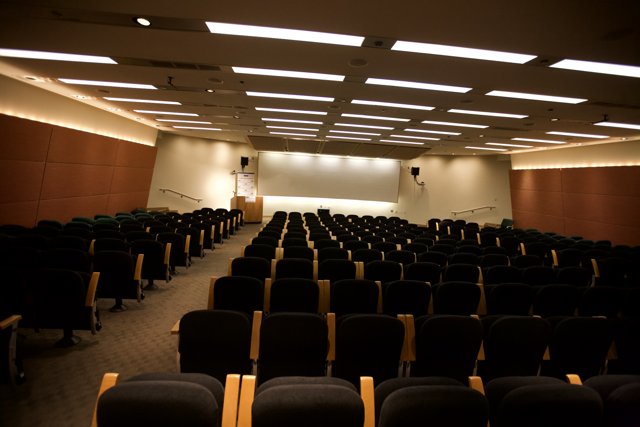 Rows of Chairs in a Crowded Auditorium