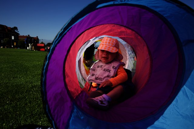 Baby's Day Out: Adventure in a Purple and Blue Tent