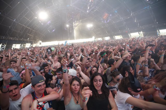 Crowd Goes Wild at Coachella