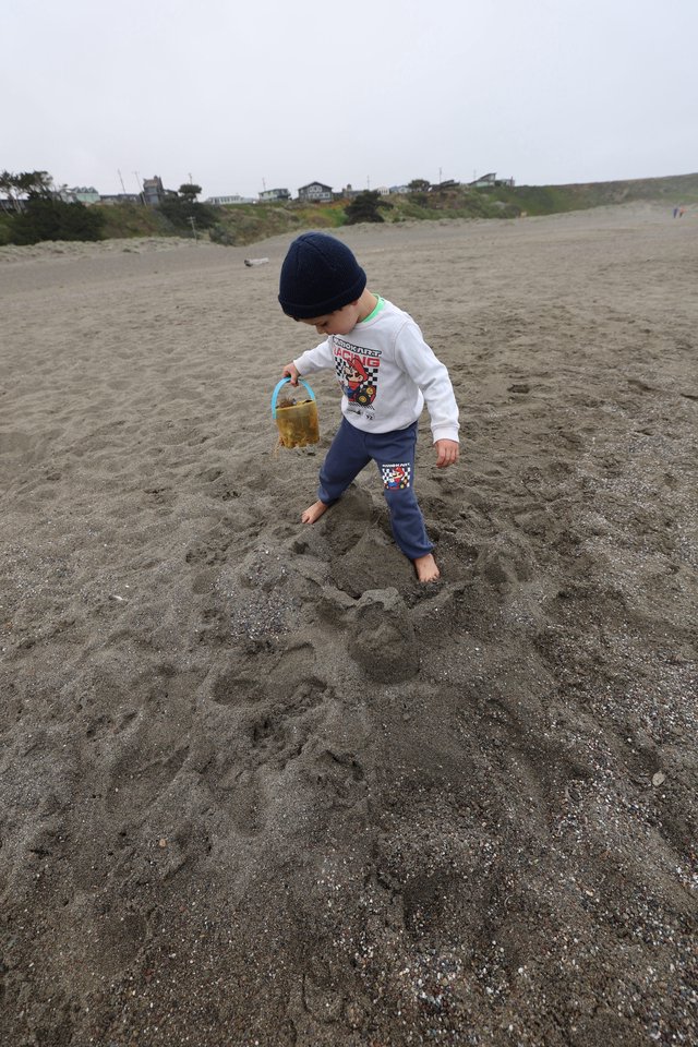 Young Boy Explores Misty Beach with Sand Bucket