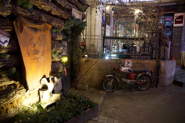 Sleek Machine in Seoul: A Motorcycle Story