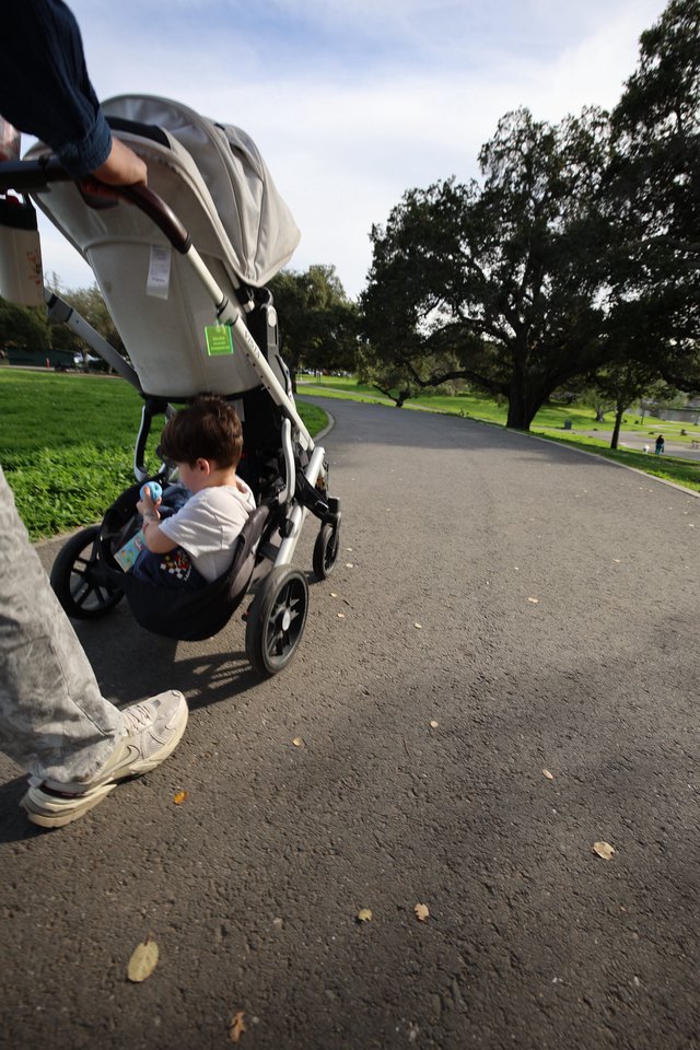 Peaceful Park Stroll with Child in Stroller