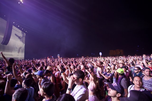 Hands Up in the Night Sky: A Crowd at Coachella
