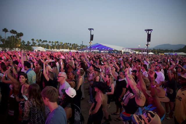 Vibrant Evenings at Coachella 2024