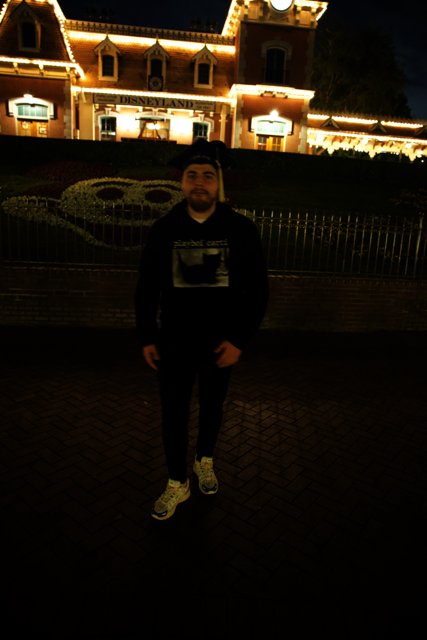 Magical Night Stroll at Disneyland
