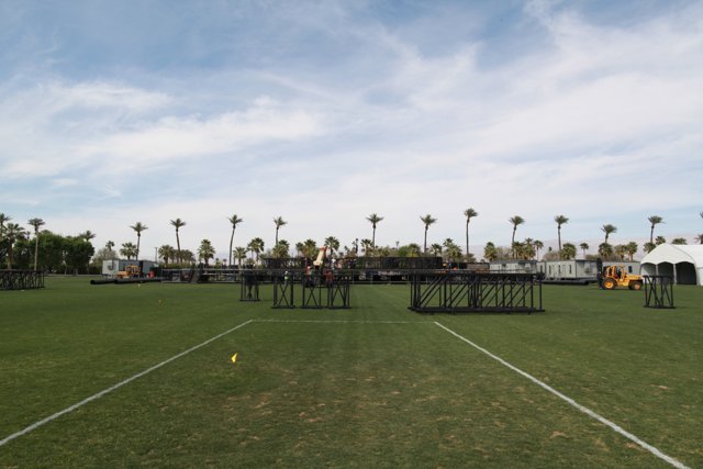 Fenced-in Palms in the Coachella Fields