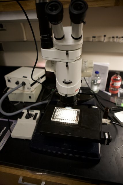 High-Tech Microscopy at UCLA's Nanotech Lab