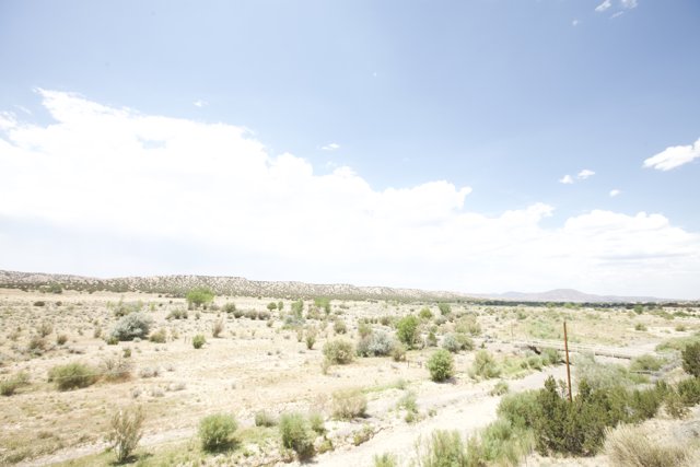 Desert Landscape from the Train