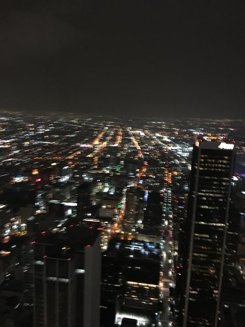 Nightscape from the Top of LA Tower
