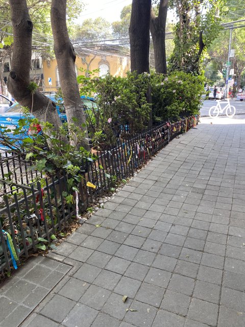 Vibrant Fence
