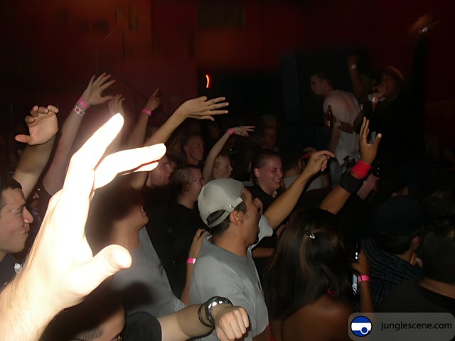 Nightlife Crowd at Disco Club
