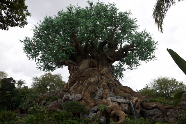 Breathtaking Glimpse of the Tree of Life, Disney's Animal Kingdom, 2024